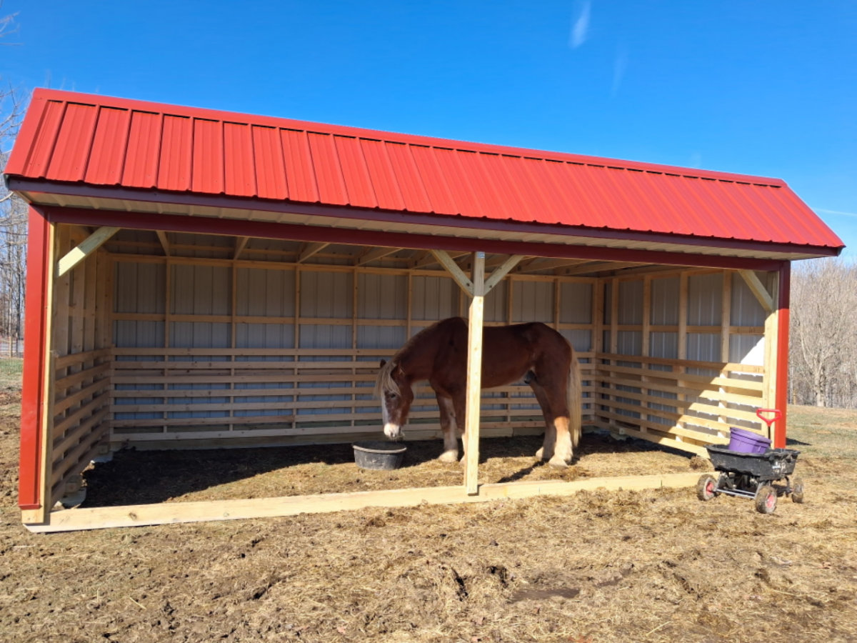 12x24 Horse Barn - Image 2